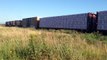 70th Video! BNSF 4195, 7217, & 5422 Lead Mixed Freight Past Colebrook, BC - 7/26/13