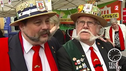 Sans frontières - La plus belle moustache de Bruxelles