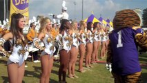 LSU Day - Golden Girls