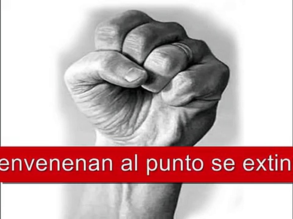La Internacional Socialista