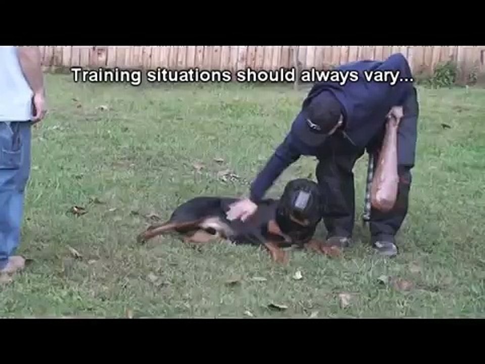 How to Train a Dog to Attack (K9-1.com)