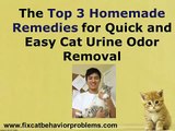 Removing Cat Urine Smell- Top 3 Homemade Remedies For Cat Urine Odor Removal