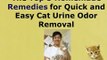 Removing Cat Urine Smell- Top 3 Homemade Remedies For Cat Urine Odor Removal