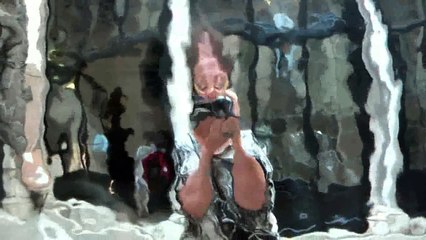 2014-Reflets virtuels de réalités vraies