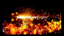 Nat Geo Wild New Documentaries Full Lions Deadly Crocodiles of the Nile River Discovery Ed