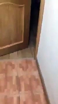 Voici la meilleure blague à faire avec un téléphone