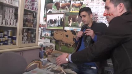 Muş Çobanlar Köpeğin Ağzından Kuşu Kurtardı