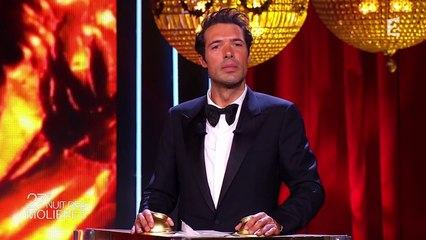 “Les Coquelicots des Tranchées” reçoit le Molière du Théâtre