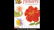 Download Creating Radiant Flowers in Colored Pencil stepbystep demos kinds of f