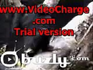 chimp?syndication=228326