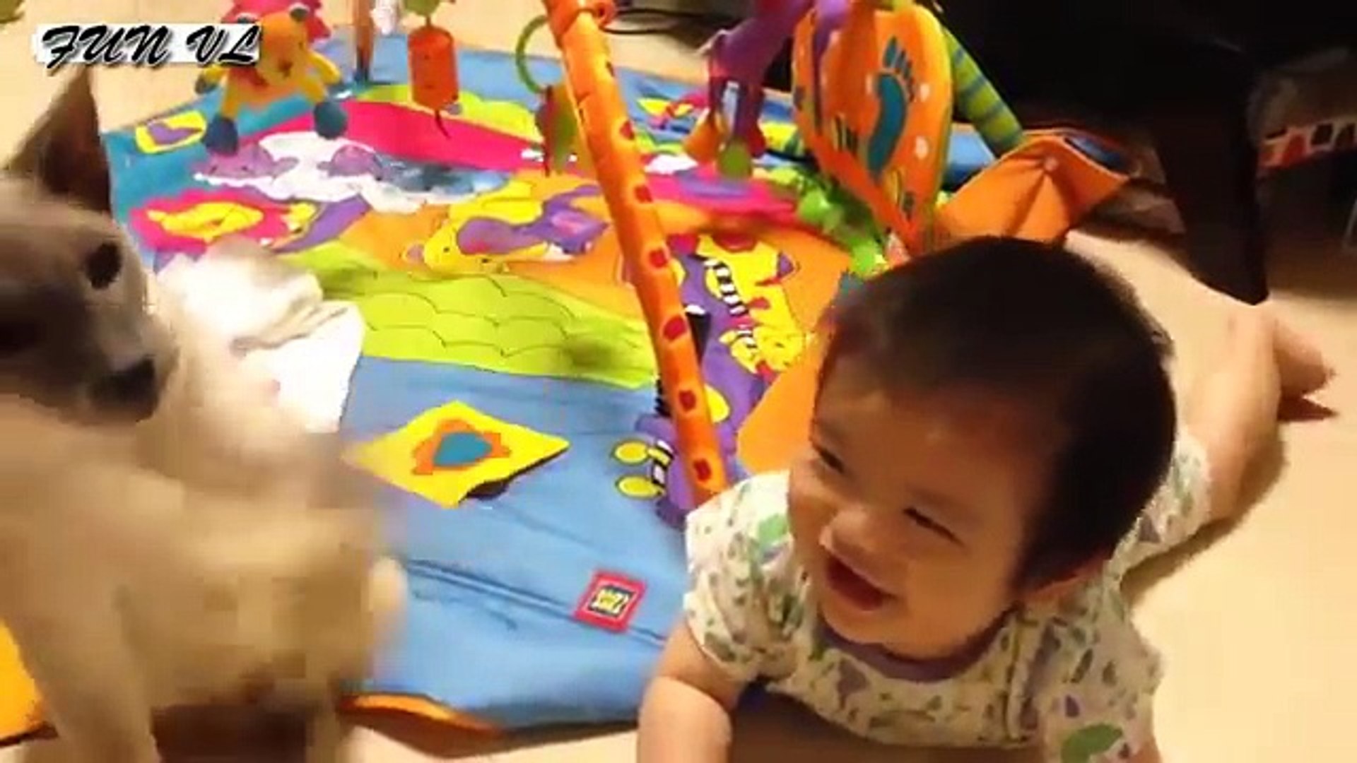 Cats And Dogs Playing With Babies