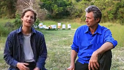 Amazing Invention - Flow- Honey on Tap Directly From your Beehive!