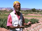 Moroccan Villagers Make Their Desert Bloom