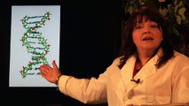 DNA Structure & Testing : What Is Recombinant DNA?