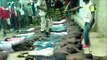 Nigeria: Gruesome footage implicates military in war crimes