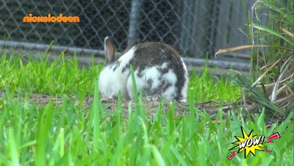 WOW! - S02: Επεισόδιο #81