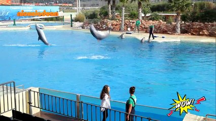 WOW! - S02: Επεισόδιο #82