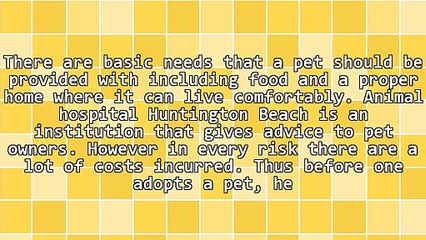 Find Out The Importance Of Animal Hospital Huntington Beach Provides