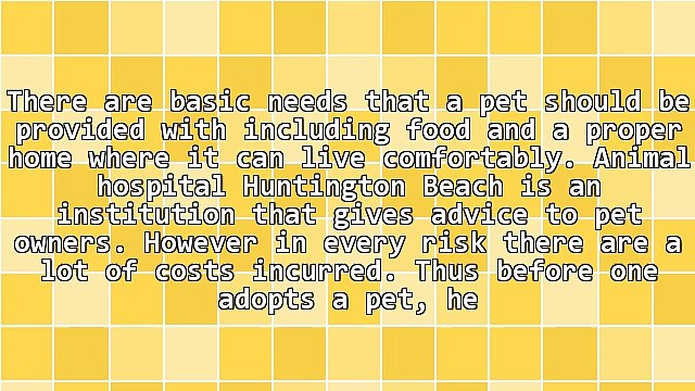 Find Out The Importance Of Animal Hospital Huntington Beach Provides
