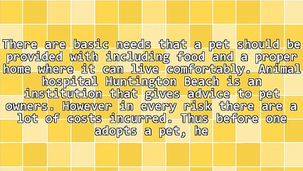 Find Out The Importance Of Animal Hospital Huntington Beach Provides