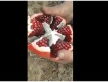 How to cut Pomegranate easily. Lets watch...... Follow me for more.