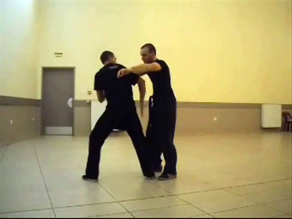 Art martial Gochikaze ryu self defense