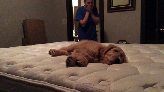 Woman loses her mind when she meets puppy for the first time