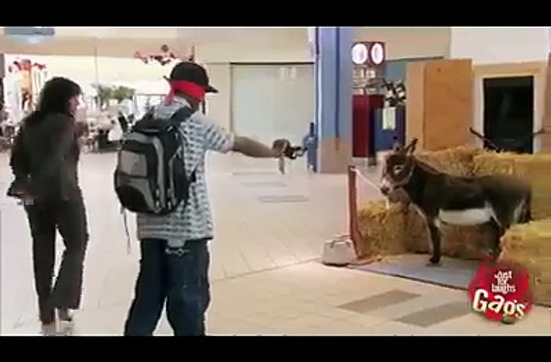 Funny Clip