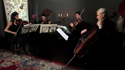 Fields of Gold - Sting - Stringspace String Quartet cover