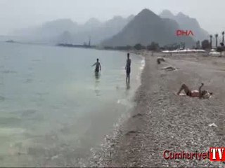 Denizdeki sarı rengin nedeni belli oldu