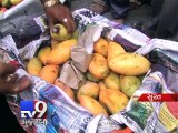 SMC destroys 800kg of artificially ripened mangoes  - Tv9 Gujarati