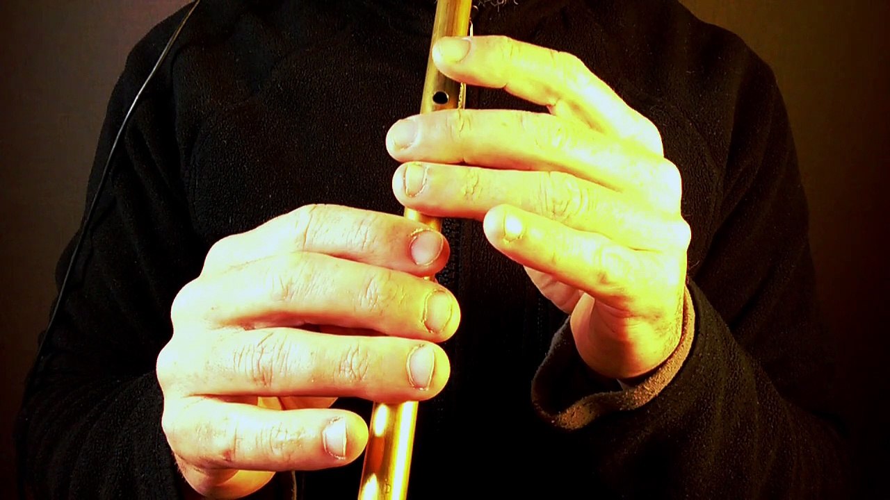 Coleman's Cross Jig (1) - tutoriel flûte irlandaise - Tradschool