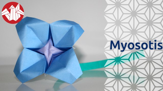 Origami - Myosotis