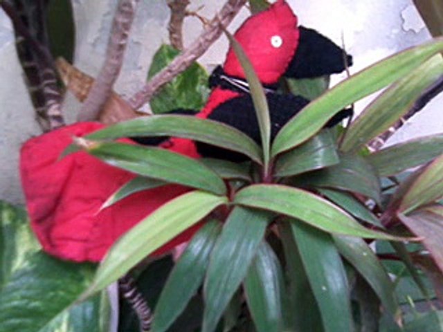 Hand Made Bird