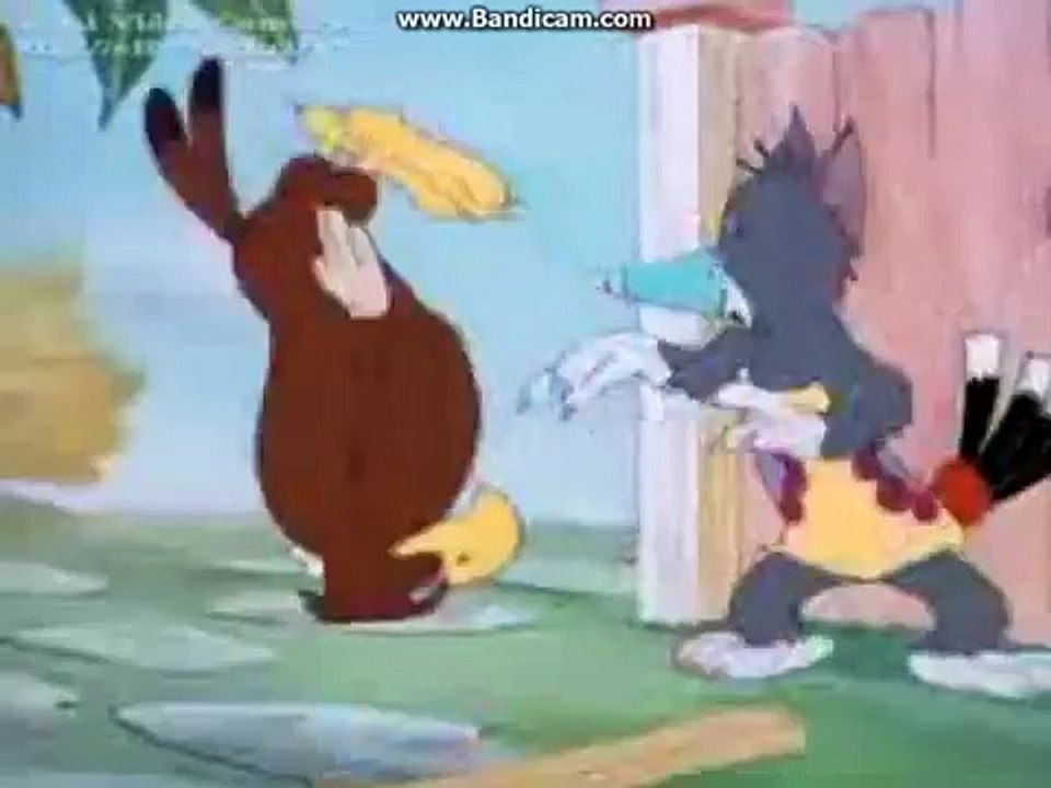 том  и  джери