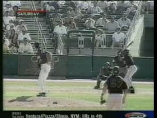 Accidents - Bird Hit by Pitch