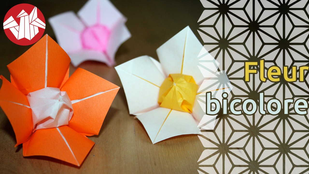 Origami - Fleur bicolore