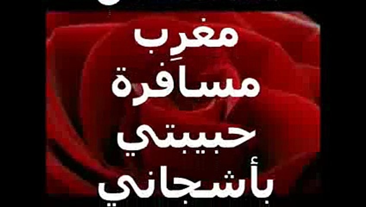 ملاكي الحنون.... ابراهيم صبرا -