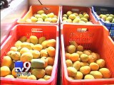 TV9 IMPACT - VMC cracks down on mango juice vendors