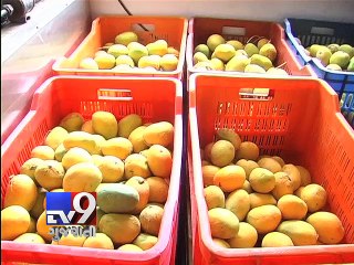 TV9 IMPACT - VMC cracks down on mango juice vendors