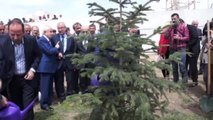 Bakan Eroğlu, Şehit Dedesinin Mezarını Ziyaret Etti