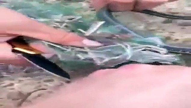 Trapped Snake Thanks It’s Rescuers With A Surprise!