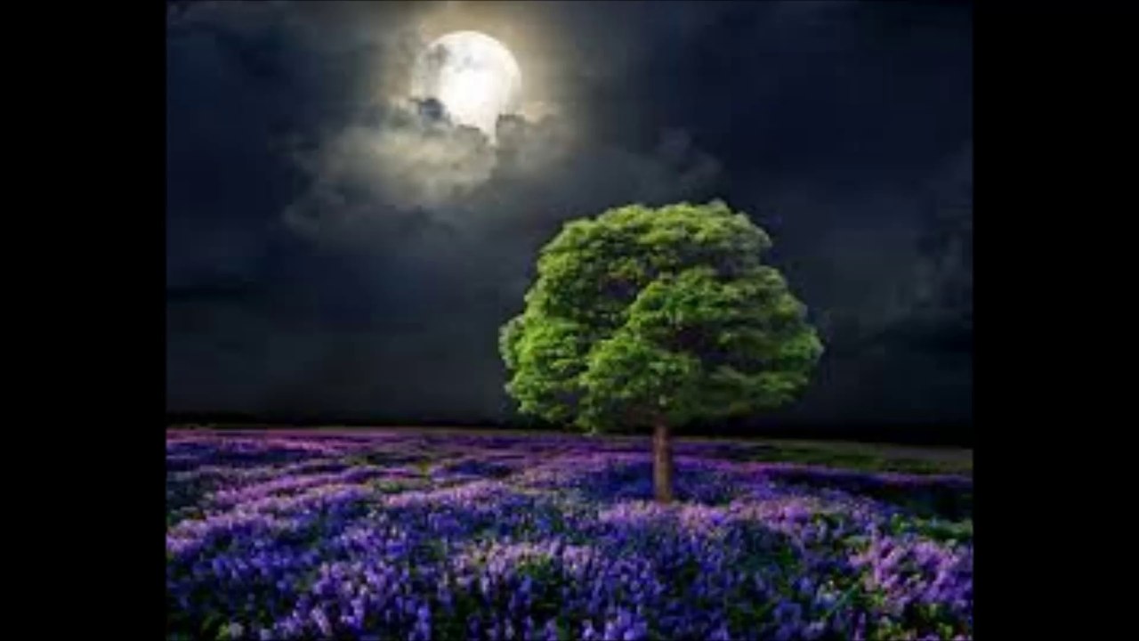 Leger Des Heils - Mondnacht