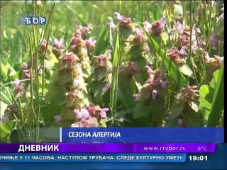 Dnevnik, 29. april 2015. (RTV Bor)