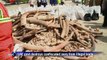 UAE govt destroys confiscated ivory from illegal trade