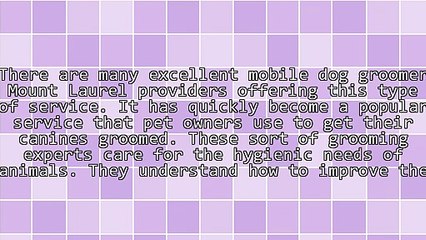 Finding A Mobile Dog Groomer Mount Laurel Service