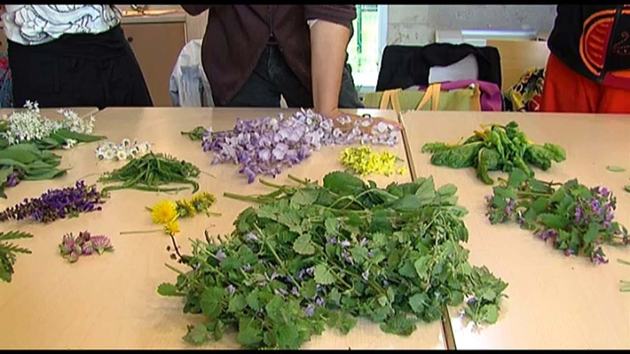Déguster les mauvaises herbes