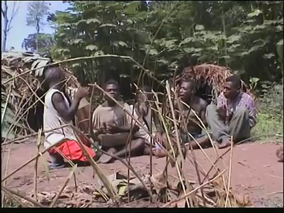 Les chants polyphoniques des pygmées Aka de Centrafrique