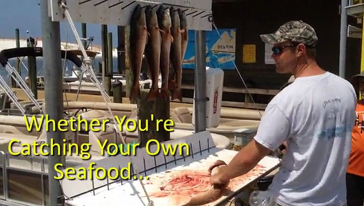 How To Pack And Ship Fresh Seafood For Overnight Delivery Using EPS Foam Shipping Coolers