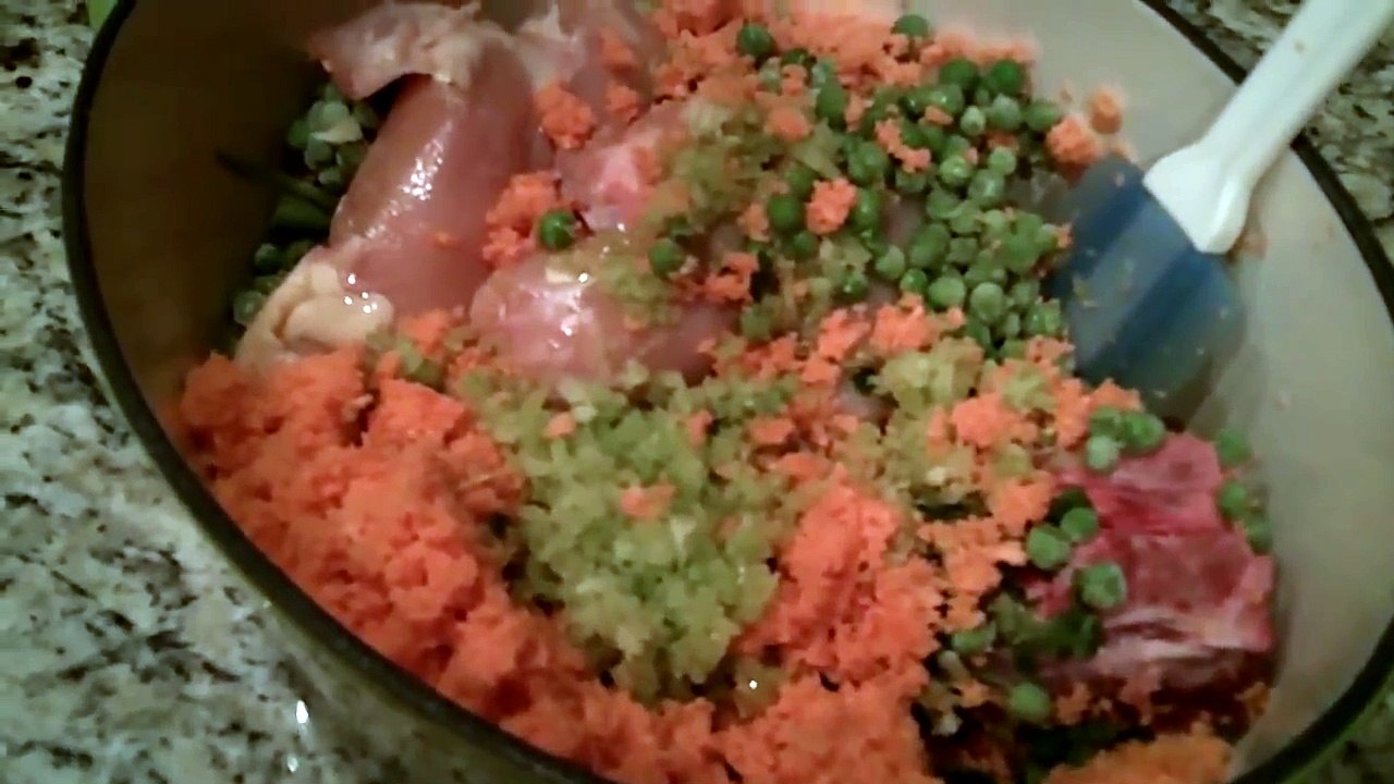 Homemade Dog Food - So Easy and So Good for your dogs